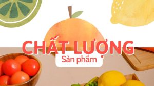 Chất lượng sản phẩm